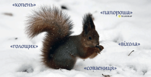 А ви знаєте, що таке "папороша", "голощик" чи "совзениця" в українській мові?