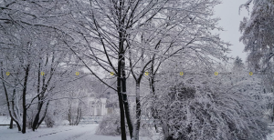 Львів засипає снігом