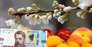 Косточковые пострадали больше всего