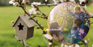 Весенний праздник