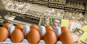 Куриные яйца