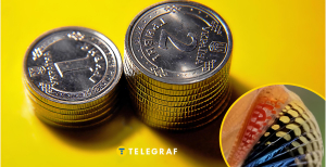 В Украине продают необычное насекомое