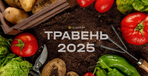 Когда лучше всего сажать кукурузу в мае — благоприятные дни