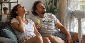 Вентиляторы спасают в жару