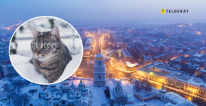 Погода в Украине