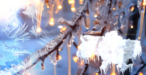 Погода в Украине