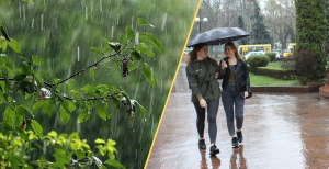 Ожидаются дожди и грозы