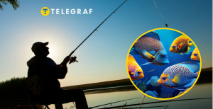 На рибалці стався незвичайний улов