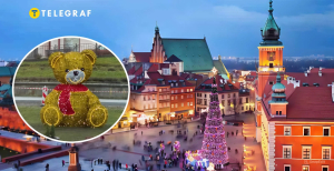 Медведь, которому изменили цвет шарфика