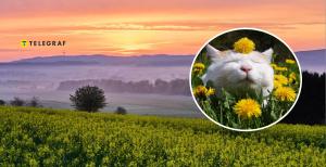 Последний месяц весны должен быть теплее