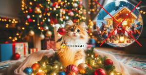 Різдво без снігу