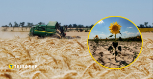 Через зростання температури культури потребують нових рішень