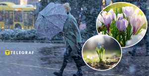 Непогода и цветы