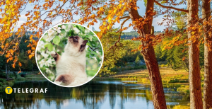 Теплая погода