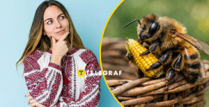 Що означає це слово?