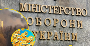 Министерство обороны