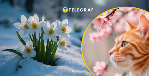 Прогноз на март 2026