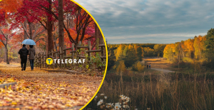 Погода в Україні