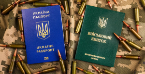 Мобилизация