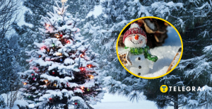 Елка в снегу и снеговичок