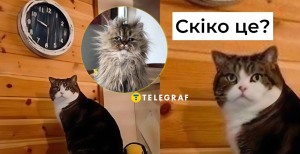 Прикольные картинки, которые зарядят позитивом на целый день