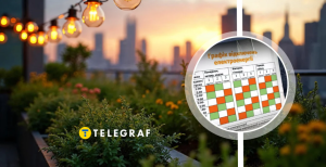 Прогноз по відключенню електроенергії