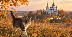 Церковное событие осени