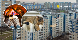 Панельный дом