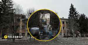 Від російської агресії страждають також чотирилапі