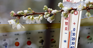 Прогноз погоди