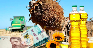 Колаж "Телеграфа"