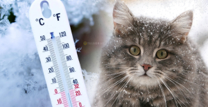 Погода в Украине