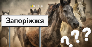 Коні