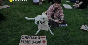 Протестующие принесли плакаты с фамилией Белецкого