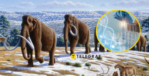 Родина мамонтів