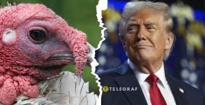 Дональд Трамп, индейка