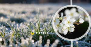 В Украине обещают минусовую температуру