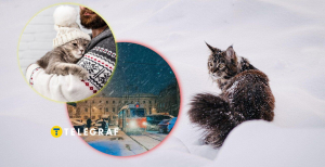 Сніг в Україні