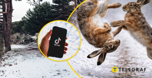 Кумедний ролик набирає популярності