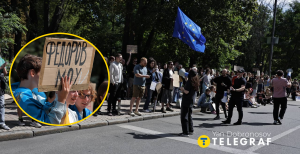 Митинг в поддержку Федорова в Киеве