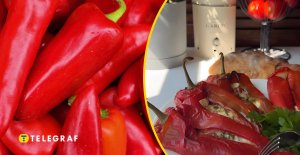 Фаршированный перец по-новому: блюдо, после которого забудется привычный рецепт (видео)