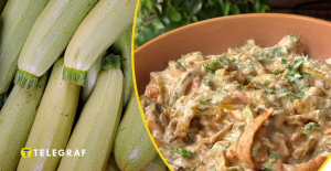 Запеченные кабачки с йогуртовым соусом: простой салат, который хочется готовить снова и снова