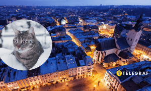 Зима в Украине