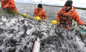 Рыбный промысел