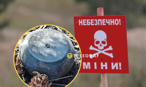 Пройдут ими дистанционно