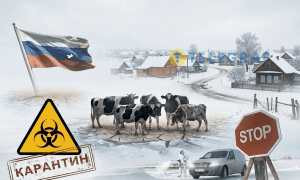 В некоторых округах ввели карантин