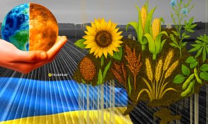 На полях чаще встречаются бобовые, лен, гречиха и конопля. Фото Коллаж "Телеграфа"