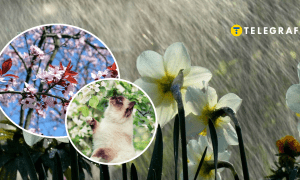 Кінець квітня не буде теплим