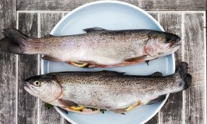 Рыба на тарелке