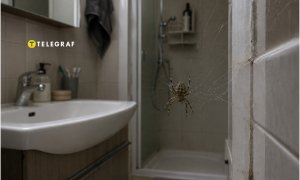 Бояться их не стоит